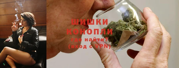стафф Корсаков