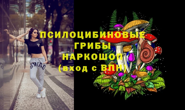 стафф Корсаков