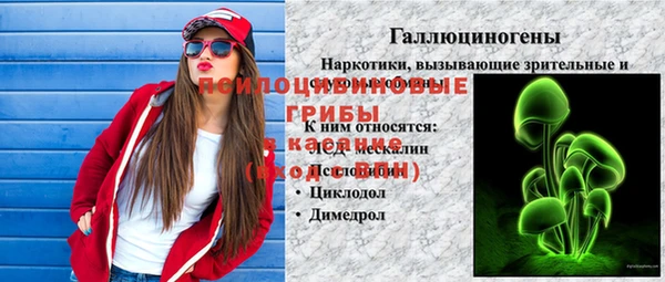 mdpv Костерёво