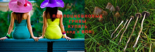 а пвп мука Коряжма