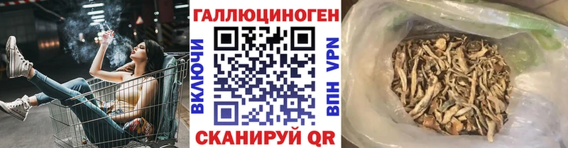 Купить  Болохово  Галлюциногенные грибы мухоморы 